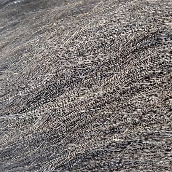 Extension - Picture 2 of 6